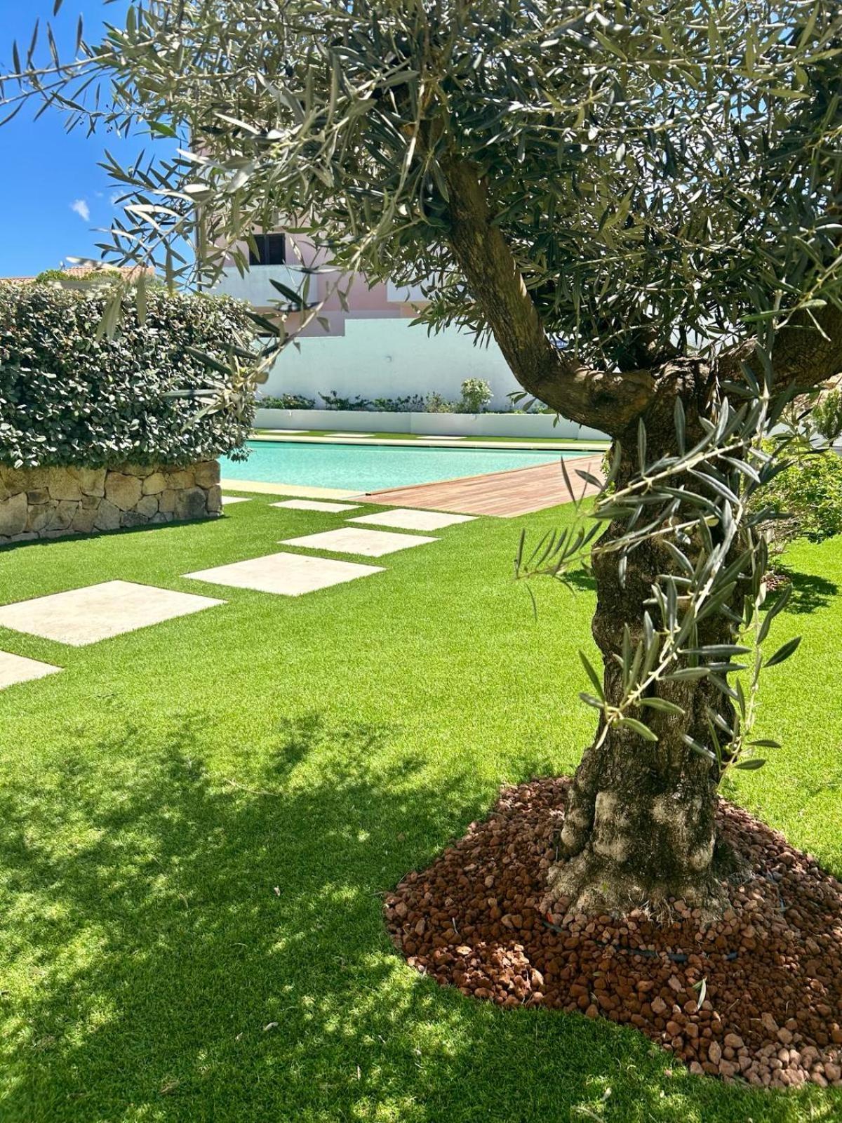 Appartamento Incantevole Con Piscina Palau Exteriör bild